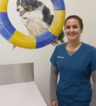 Rhi at Channel Islands Veterinary Hospital 1247 / Las Posas Veterinary Medical Center